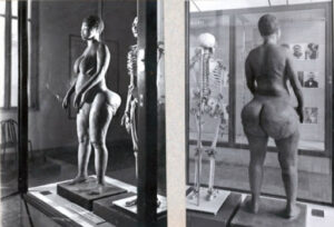 El modelo de la Venus Hotentote en un museo de París.